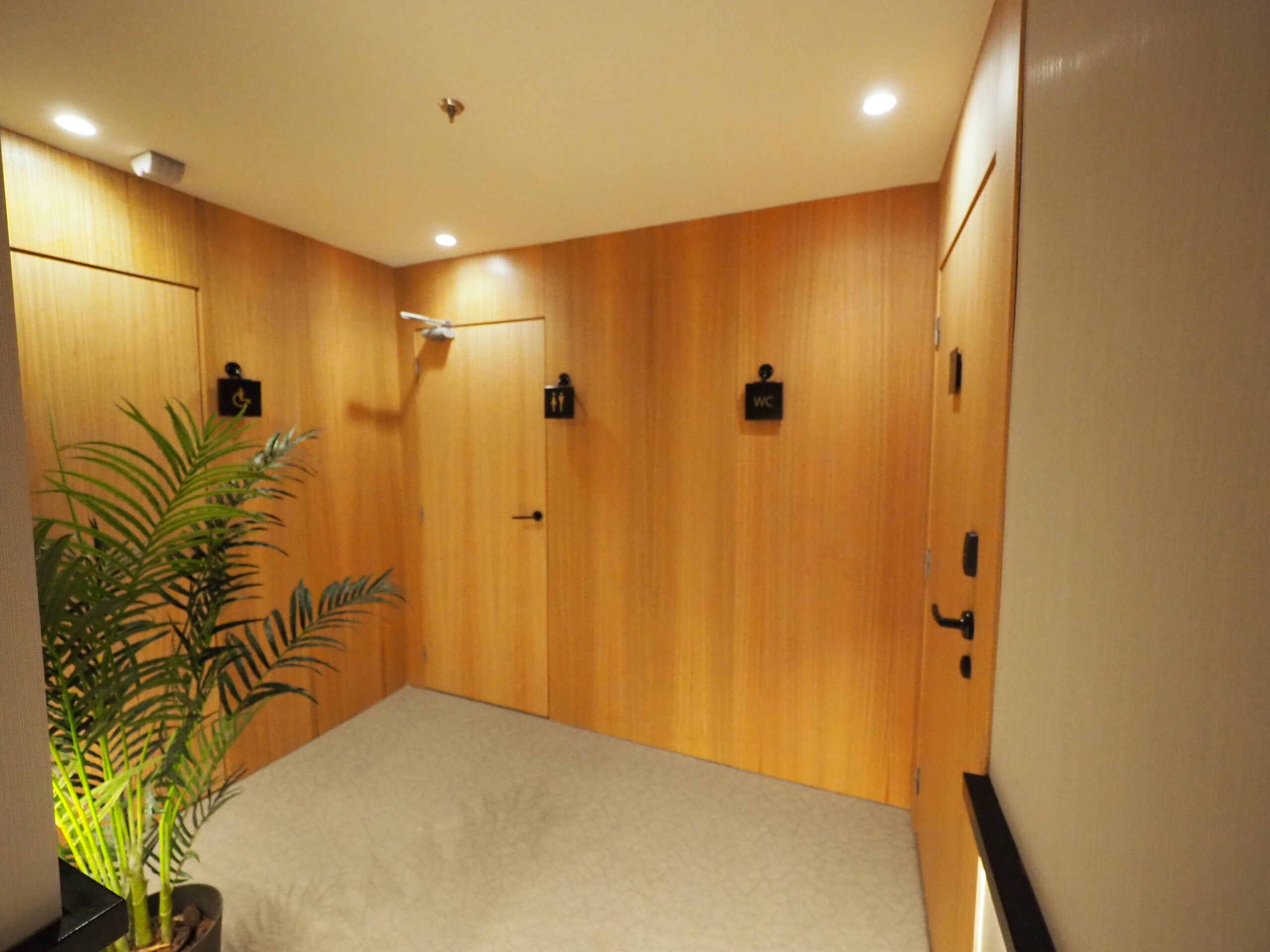 puertas de madera
